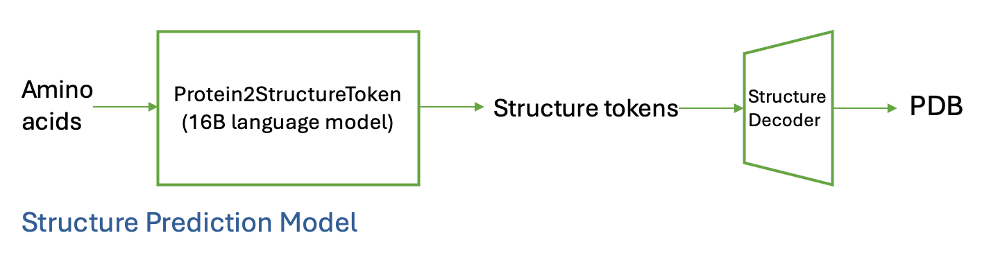 Structure Prediction Model